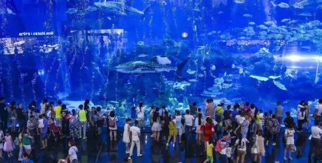 成都水族館門(mén)票：成都水族館游客評(píng)價(jià)匯總成都水族館優(yōu)惠活動(dòng)查詢(xún)