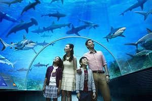 成都水族館門票：成都水族館游客評(píng)價(jià)匯總成都水族館優(yōu)惠活動(dòng)查詢 水族館百科（水族館加盟） 第2張