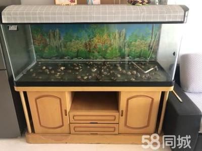 品牌魚缸排名圖片：中國十大魚缸品牌排名 魚缸百科 第4張