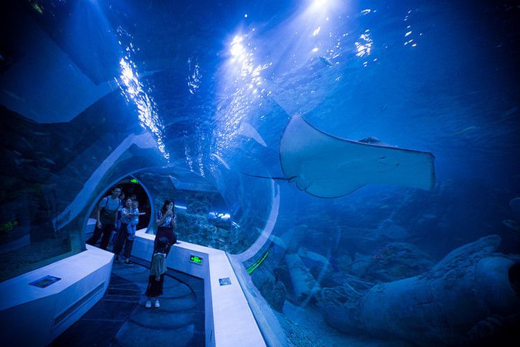 蕪湖水族館：蕪湖水族館地址