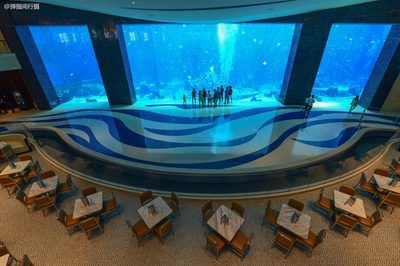 建一個水族館多少錢：廣州白云機(jī)場新建水族館項(xiàng)目預(yù)計(jì)投放至少2000條魚 水族館百科（水族館加盟） 第4張