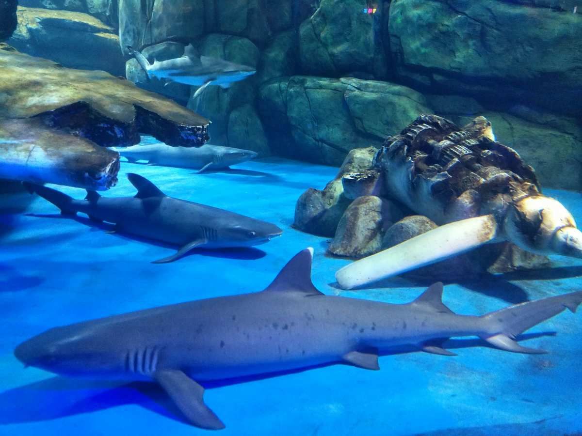 西安水族館