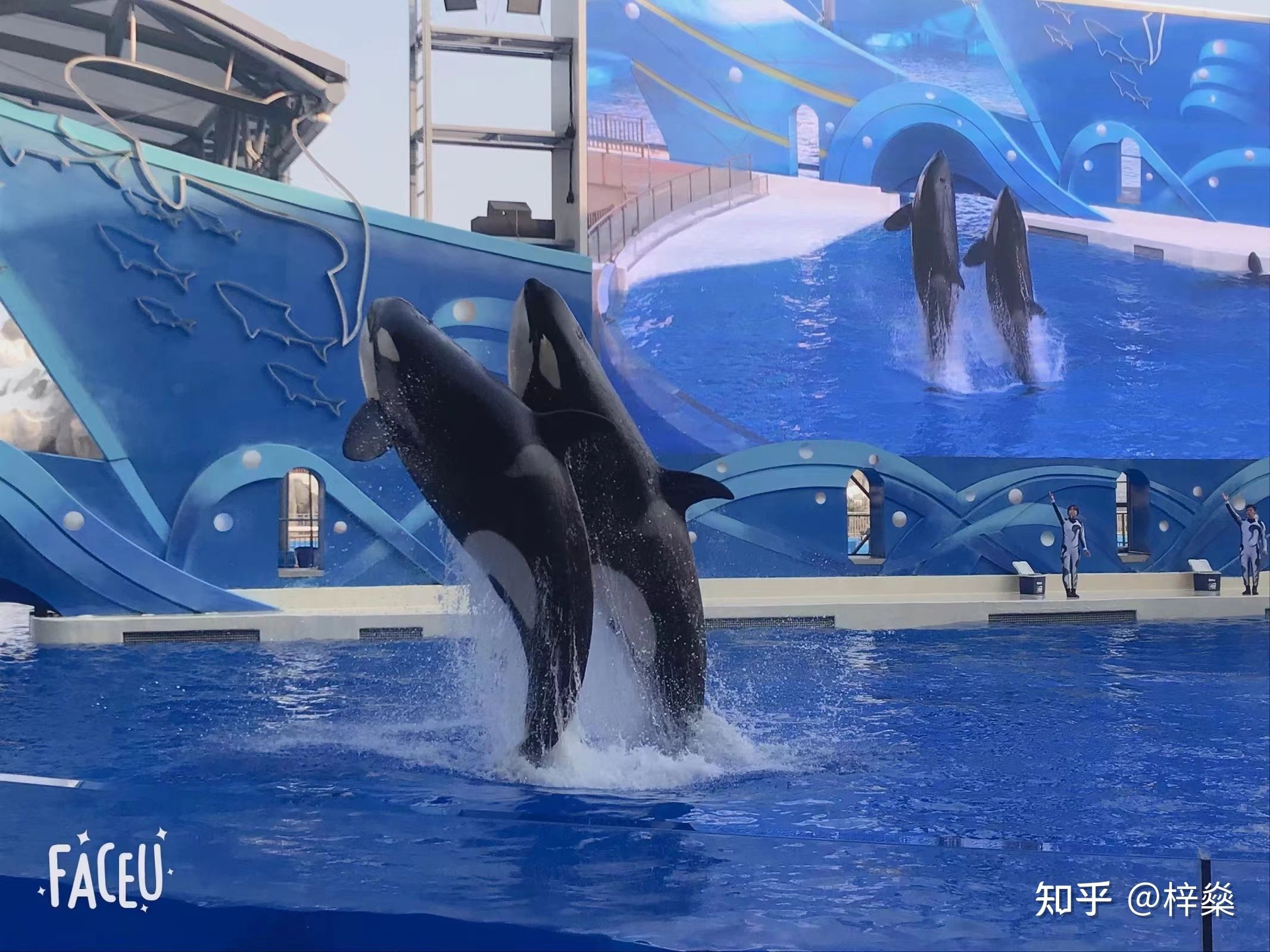 想開個水族館賺錢嗎現(xiàn)在還能開嗎 水族館百科（水族館加盟） 第5張