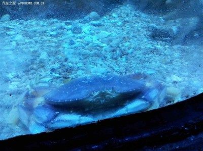 水族館起什么名字霸氣：水族館起名如何體現(xiàn)霸氣 水族館百科（水族館加盟） 第4張