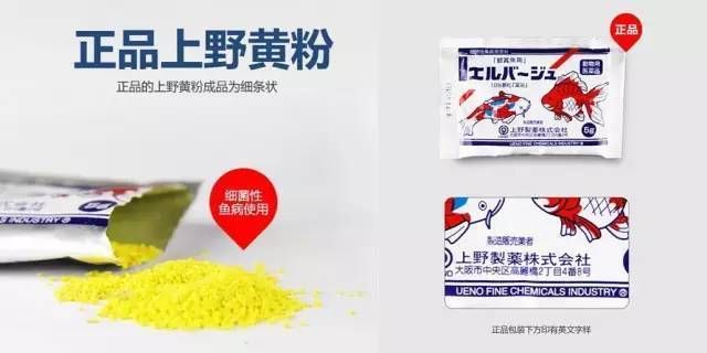 觀賞魚藥物使用注意事項：觀賞魚水質(zhì)調(diào)整技巧,觀賞魚藥物副作用研究 觀賞魚百科 第4張