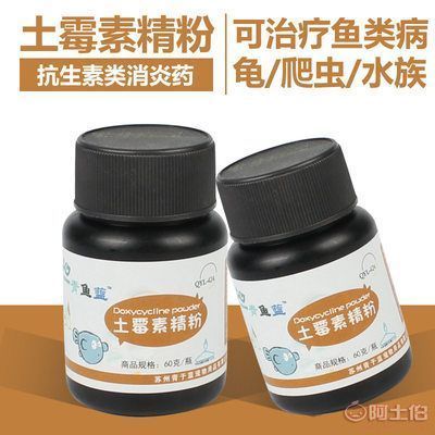 觀賞魚藥物安全使用指南：觀賞魚藥物使用指南 觀賞魚百科 第3張