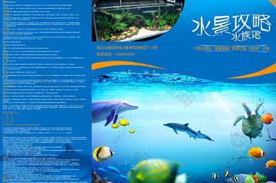 水族館廣告牌圖片大全：水族館廣告牌圖片大全大全