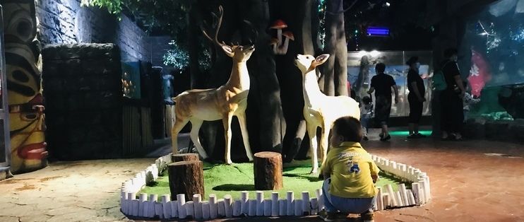 常州水族館：常州旅游攻略常州水族館 全國觀賞魚市場 第4張