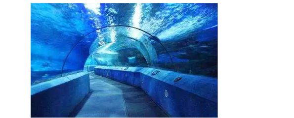 常州水族館：常州旅游攻略常州水族館 全國觀賞魚市場 第3張