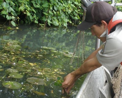 觀賞魚水質(zhì)監(jiān)測工具推薦：觀賞魚水質(zhì)監(jiān)測的重要性與實用工具