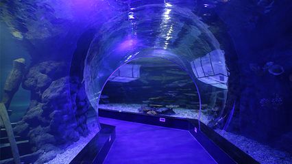 水族館建設(shè)施工：水族館建設(shè)施工安全管理措施 水族館百科（水族館加盟） 第3張