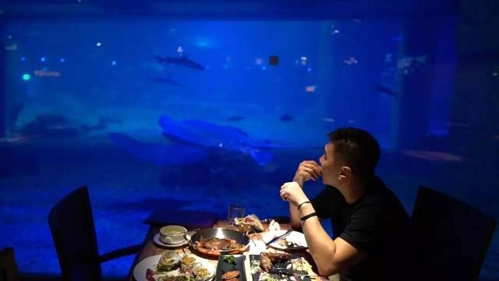 水族館主題餐廳：全球水族館主題餐廳排名