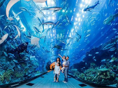 水族館行業(yè)會有發(fā)展?jié)摿釣槭裁矗核屦^行業(yè)發(fā)展前景 水族館百科（水族館加盟） 第3張