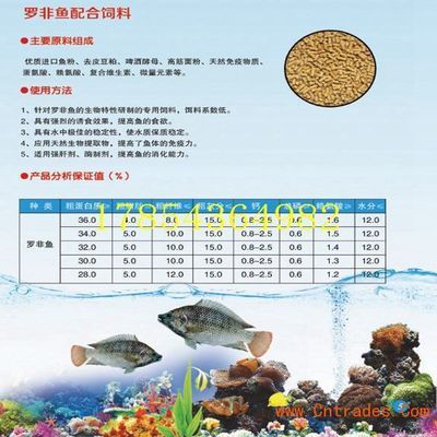 觀賞魚飼料保存技巧：觀賞魚飼料的保存技巧