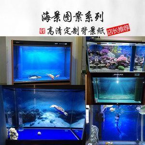 燕魚魚缸背景紙圖片：燕魚魚缸背景紙價格對比魚缸背景紙價格對比