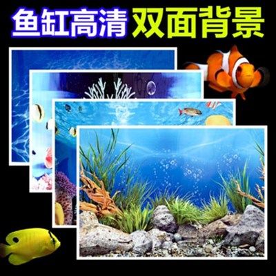 燕魚魚缸背景紙圖片：燕魚魚缸背景紙價格對比魚缸背景紙價格對比 魚缸百科 第5張