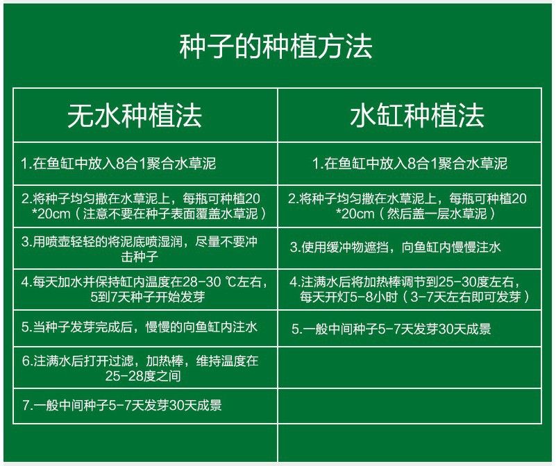 魚缸彩葉草圖片欣賞大全：關(guān)于魚缸彩葉草圖片欣賞大全詳情 魚缸百科 第5張