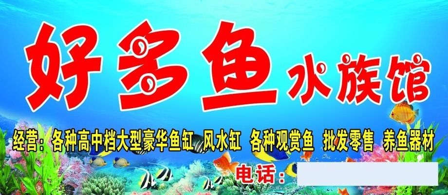 水族館門頭設計圖：水族館門頭設計 水族館百科（水族館加盟） 第1張