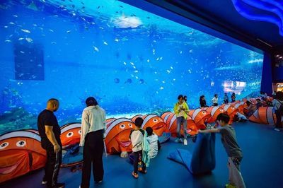 開一家水族館需要些什么？：開一家水族館需要準備什么 水族館百科（水族館加盟） 第3張