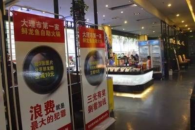 大理白族自治州龍魚專賣店：大理白族自治州水族店