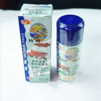 龍魚(yú)霉菌怎么治療效果好：如何治療龍魚(yú)霉菌病 龍魚(yú)百科 第4張