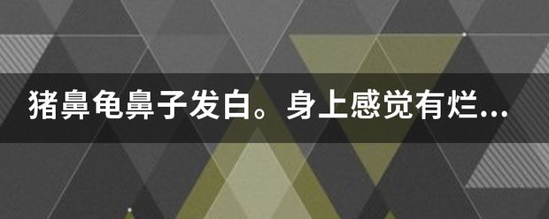 豬鼻龜身上發(fā)白怎么辦?。贺i鼻龜鼻子白了是怎么回事 豬鼻龜百科 第3張