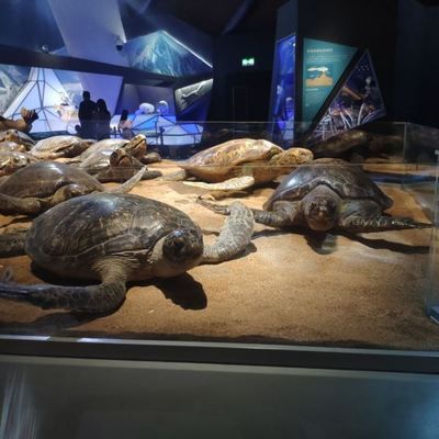 水族館內(nèi)部：關(guān)于水族館內(nèi)部的一些詳細(xì)介紹 水族館百科（水族館加盟） 第5張