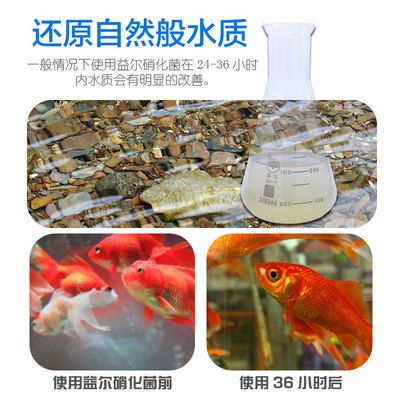 觀賞魚水質檢測指南：觀賞魚水質檢測方法 觀賞魚百科 第5張