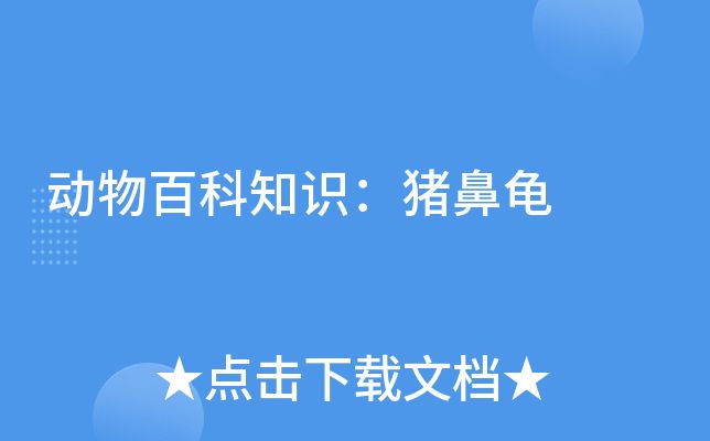 豬鼻龜是哪的特有動物：豬鼻龜是什么？ 豬鼻龜百科 第6張