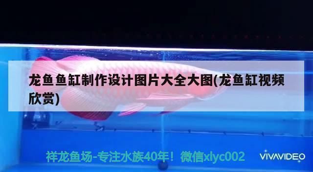 龍魚專用魚缸怎么做視頻：自制龍魚專用魚缸步驟詳解 魚缸百科 第2張