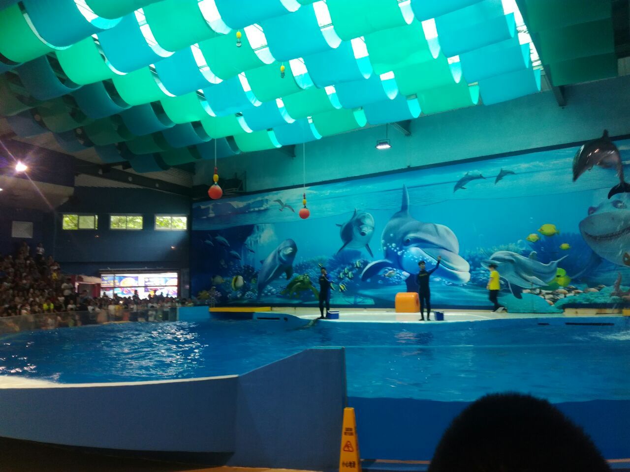 水族館 知乎：全球第一座水族館于北京海洋魚(yú)類(lèi)及生物達(dá)千余種、數(shù)萬(wàn)尾