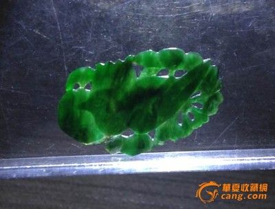 海龍魚(yú)目：關(guān)于海龍魚(yú)目的五個(gè)疑問(wèn) 水族問(wèn)答 第2張