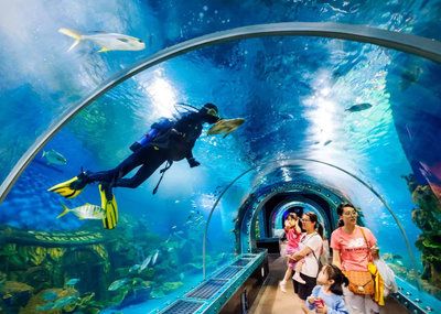 水族館是做什么的：水族館是一個專門用于展示水生動物的機(jī)構(gòu) 水族館百科（水族館加盟） 第5張