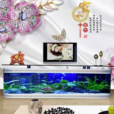 落地式魚缸好不好：落地式魚缸優(yōu)缺點 魚缸百科 第3張