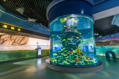 水族館哪里的比較好玩中國：中國水族館推薦 水族館百科（水族館加盟） 第4張