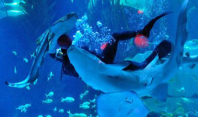 青島水族館門票價格：青島水族館特色展覽介紹青島水族館門票價格詳細信息 水族館百科（水族館加盟） 第3張