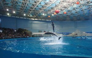 青島水族館門票價(jià)格：青島水族館特色展覽介紹青島水族館門票價(jià)格詳細(xì)信息 水族館百科（水族館加盟） 第2張