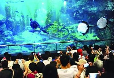 青島水族館門票價格：青島水族館特色展覽介紹青島水族館門票價格詳細信息 水族館百科（水族館加盟） 第5張