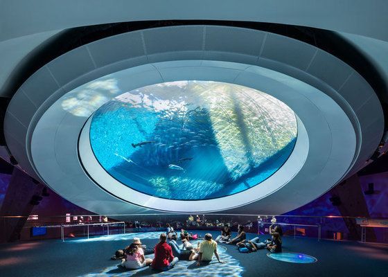 陽泉水族館：陽泉市城區(qū)愛上魚水族館