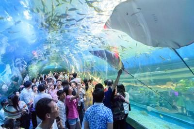 益陽水族館：益陽市朝陽濱輝水族館 全國觀賞魚市場 第3張