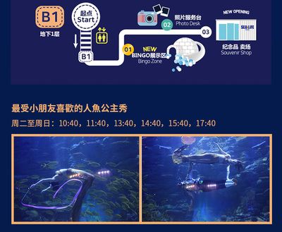 水族館主要經營什么產品：水族館主要經營產品 水族館百科（水族館加盟） 第4張