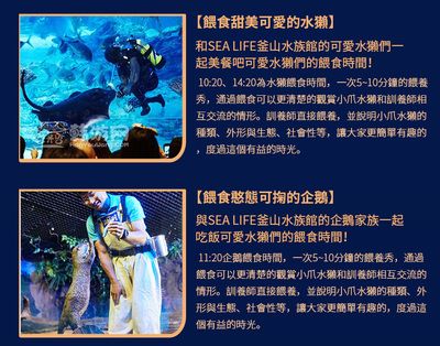 水族館主要經營什么產品：水族館主要經營產品 水族館百科（水族館加盟） 第5張