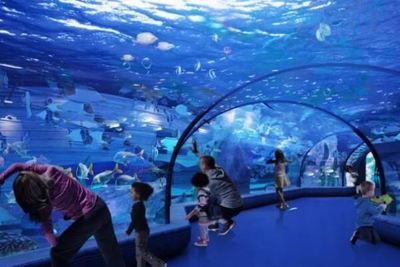 達(dá)州水族館：四川省達(dá)州市達(dá)州城市水族館 全國(guó)觀賞魚市場(chǎng) 第3張