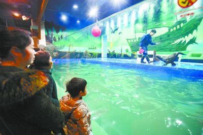 婁底水族館：婁底南海觀賞魚水族館