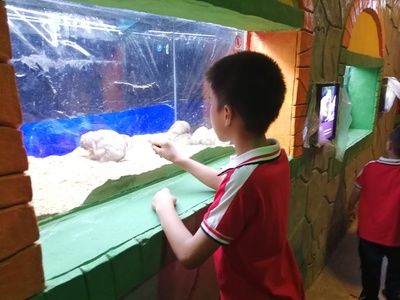 婁底水族館：婁底南海觀賞魚水族館