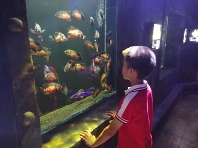 婁底水族館：婁底南海觀賞魚水族館