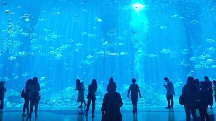 水族館長什么樣：國內(nèi)外著名水族館的外觀、布局、管理運營等方面的特點