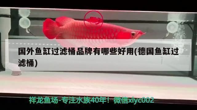 佳寶魚缸改造過濾系統(tǒng)：佳寶魚缸改造過濾系統(tǒng)改造案例，魚缸反氣舉安裝教程 魚缸百科 第5張