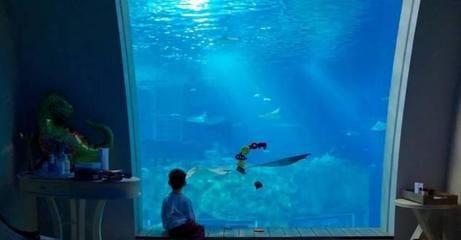 開一間水族館大概要多少錢人民幣呢：開設(shè)一家水族館的成本