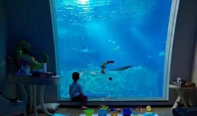 開一間水族館大概要多少錢人民幣呢：開設(shè)一家水族館的成本